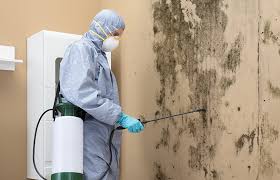 Best Mold Remediation for Healthcare Facilities  in Saegertown, PA